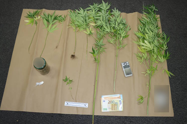 Slika /PU_ZG/slike/PUZ/2025/RUJAN/DROGA 10092025/Slika1.jpg